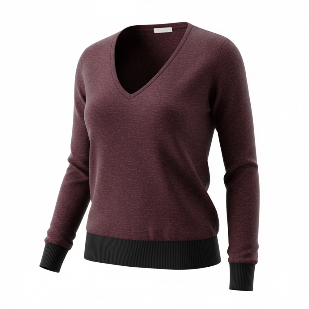 Rag & Bone Marled V-neck Burgundy sweater